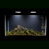 1633762066_12-p-akvarium-s-chernim-gruntom-foto-12